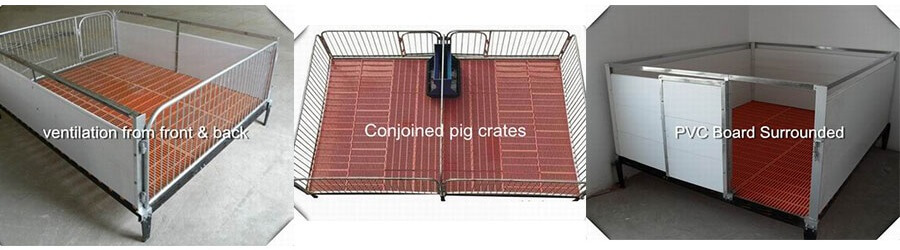 Piglet-Nursery-Crate