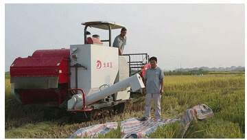 large_rice_harvester