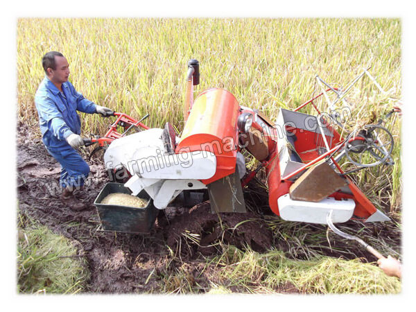 small_rice_harvester_working